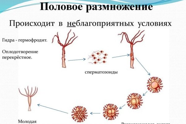 Кракен маркетплейс магазин