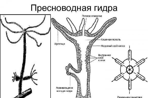 Кракен нарк