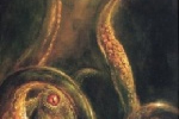 Кракен маркет даркнет только через тор скачать